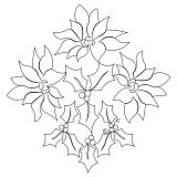 carolina lily block 002