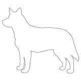 cattle dog outline 001