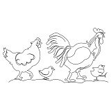chicken family border