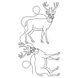 deer bdr crn 001