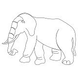 elephant standing