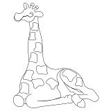 giraffe sitting