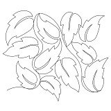 hibiscus leaf pano 001