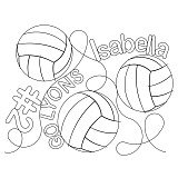 isabella volleyball pano
