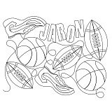 jaron sports pano 001