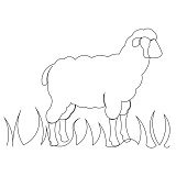 lamb border 001