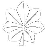 leaf insignia 001