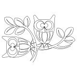 owl bdr crn 001