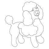 poodle single 001