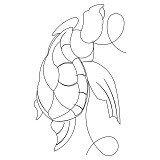 sea turtle brd crn 002