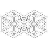 snowflake needle case outside