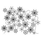 snowflake pano 006