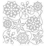 snowflake pano 010 sq