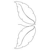 sunflower leaf border 001