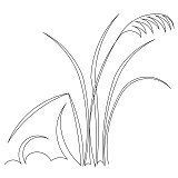 tall grass border 001