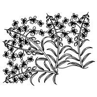 fireweed border 001 Digital Pattern | Sweet Dreams Quilt Studio ...