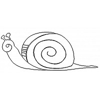 snail