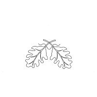 Acorn Leaf Tri