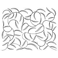 olive leaf pano 001 sq