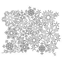 snowflake complex 004