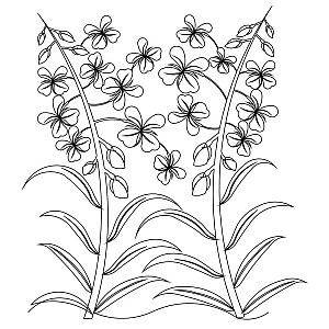 fireweed border 001 Digital Pattern | Sweet Dreams Quilt Studio ...