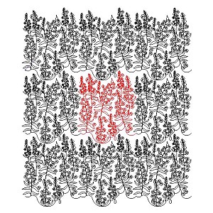 fireweed pano 001 Digital Pattern | Sweet Dreams Quilt Studio - Edge to ...
